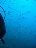 2010-09-15 11-13-57 Steven